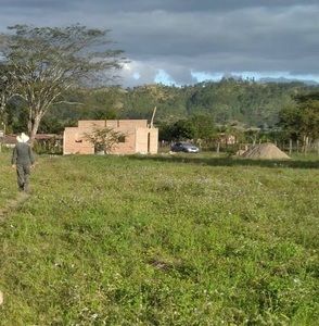 Meet your Posher, Rene